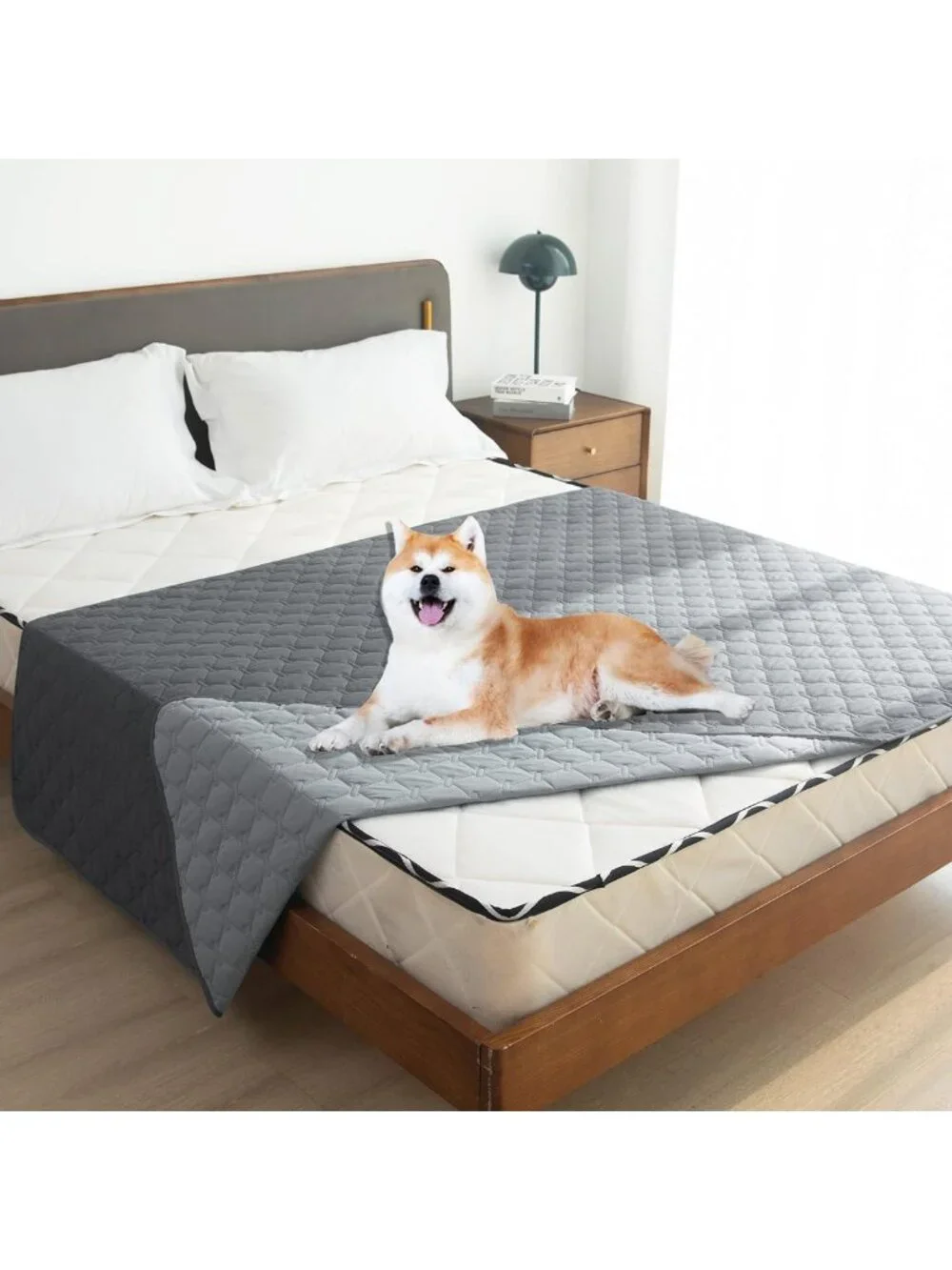 Waterproof Pet Blanket | Washable Couch Cover for Dogs & Cats | Cozy Bed